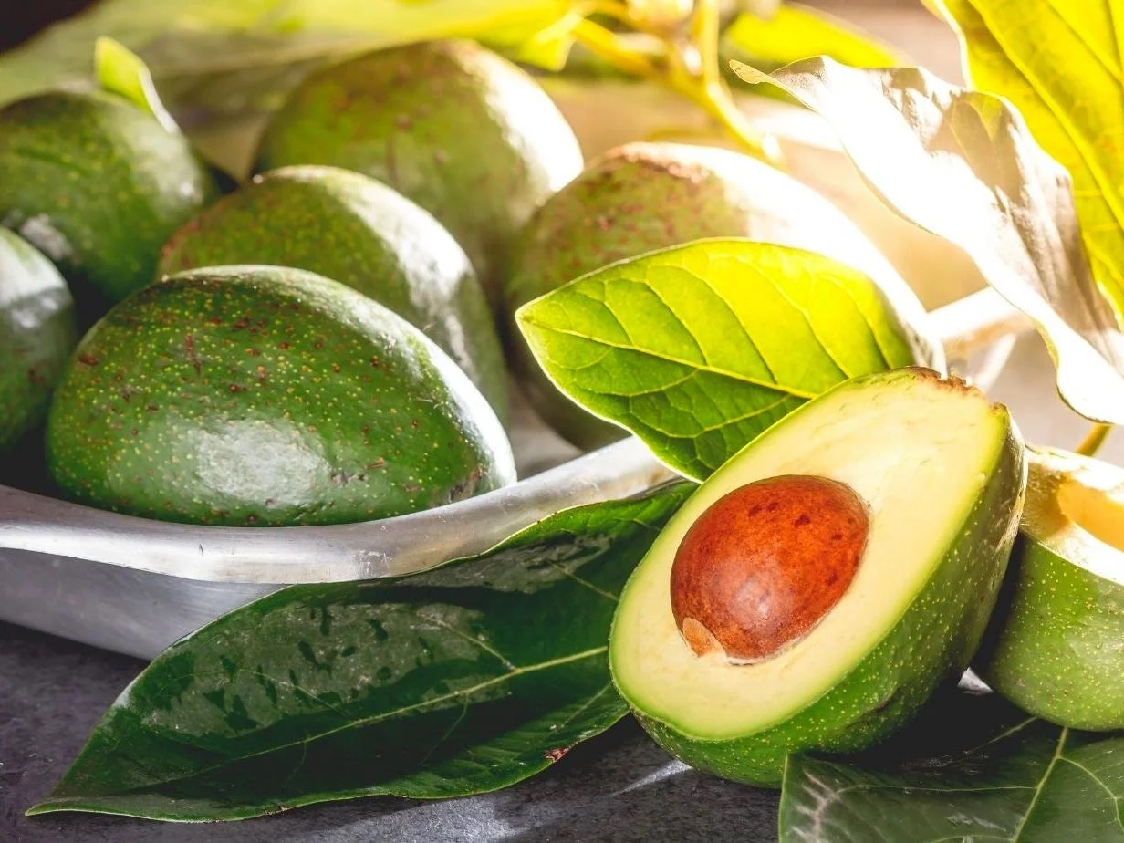 Avocado