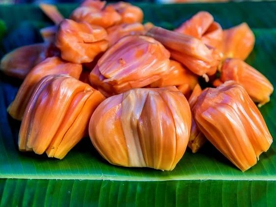 Red-Jackfruit