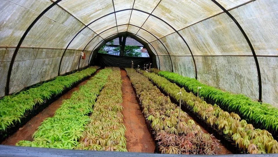 nursery-Image